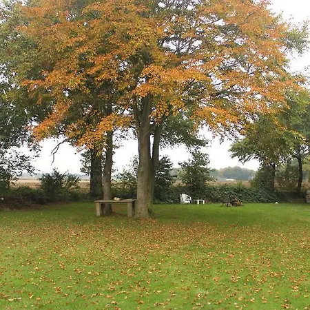 Op De Borgh Ferienhaus *